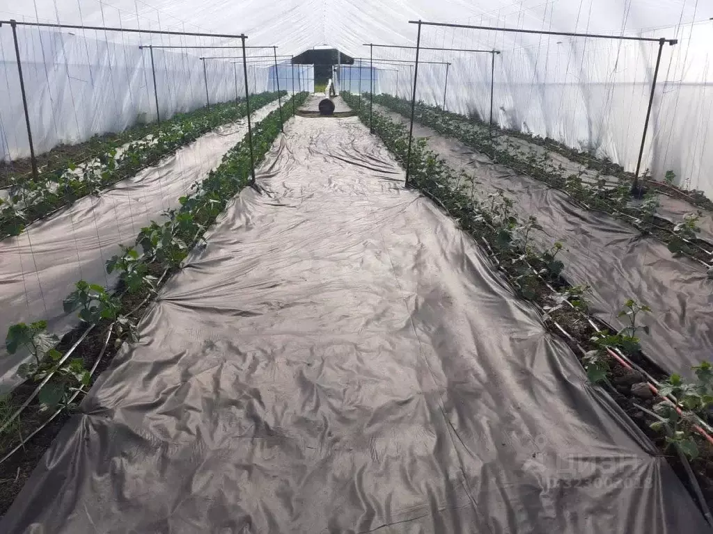 Дом в Тверская область, Рамешковский муниципальный округ, д. ... - Фото 1