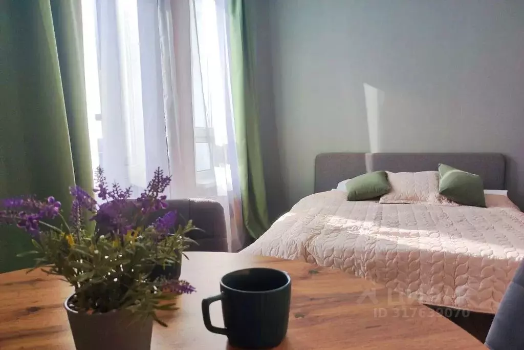 Студия Карелия, Петрозаводск Гражданская ул., 21 (30.0 м) - Фото 0