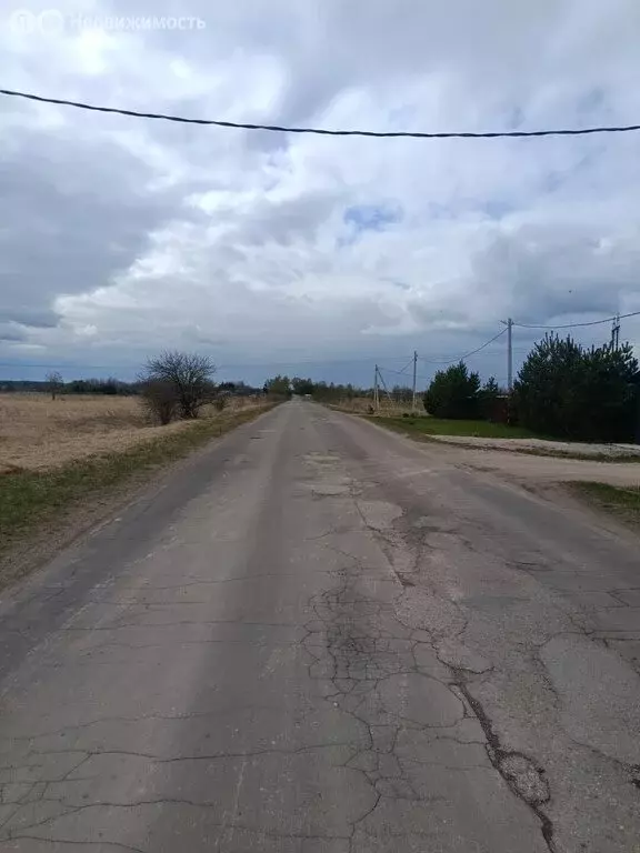 Участок в Новгородская область, Шимское городское поселение, деревня ... - Фото 2