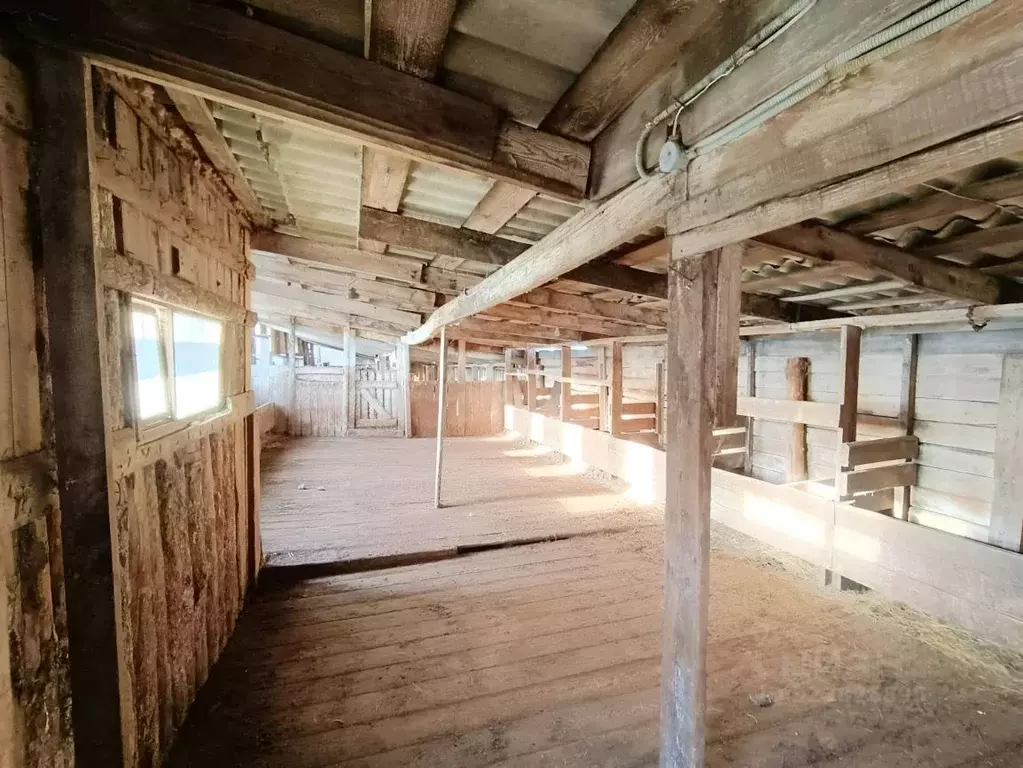 Участок в Амурская область, с. Ивановка ул. Восточная, 5 (138.0 сот.) - Фото 1