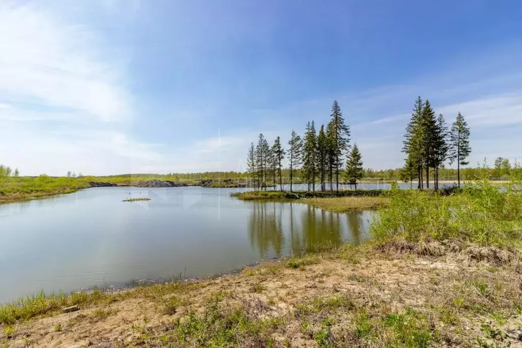 Участок в Тюменская область, Нижнетавдинский район, Сундукуль СНТ  ... - Фото 0