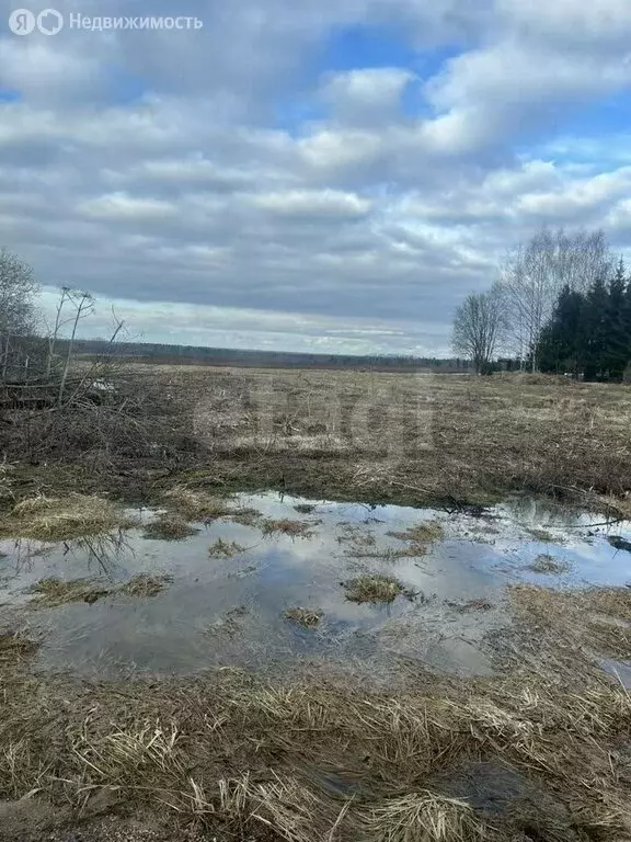 Участок в Вологодский муниципальный округ, деревня Закобяйкино (16 м) - Фото 1