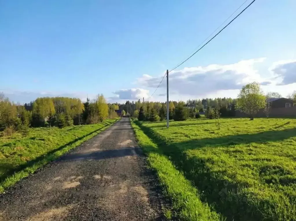 Участок в Московская область, Истра муниципальный округ, д. Матвейково ... - Фото 1