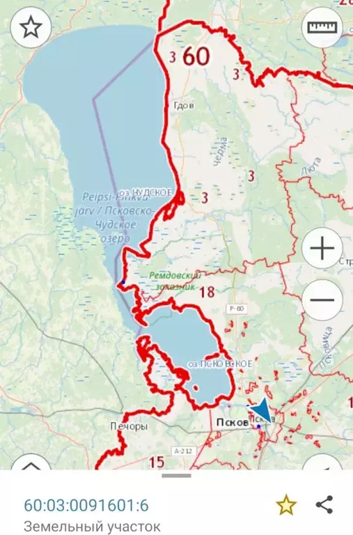 Участок в Псковская область, Гдовский район, Самолвовская волость, д. ... - Фото 1