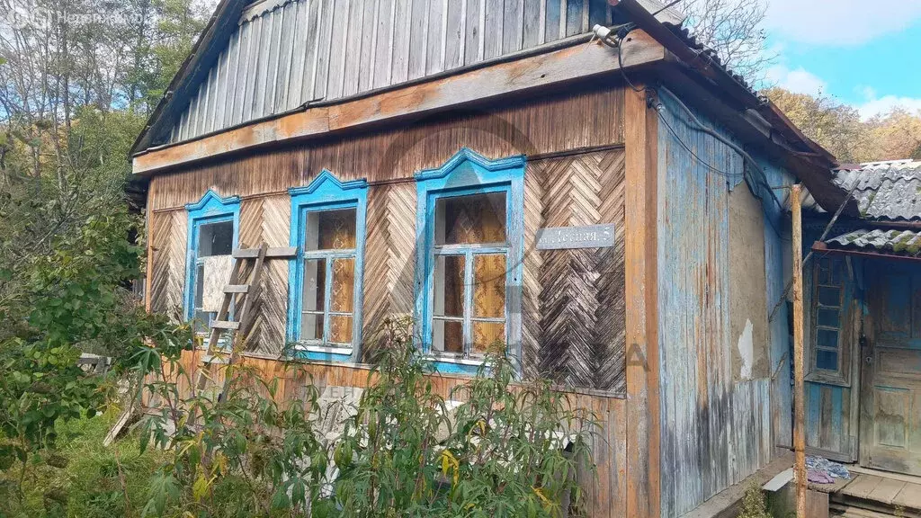 Дом в Куринская, Лесная улица, 11 (40.5 м) - Фото 0