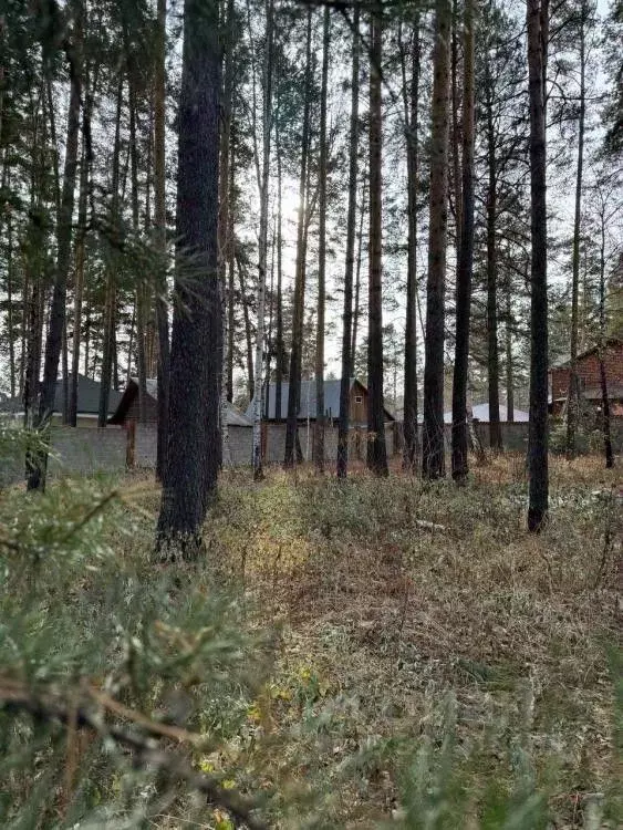 Участок в Иркутская область, Иркутский муниципальный округ, д. ... - Фото 2