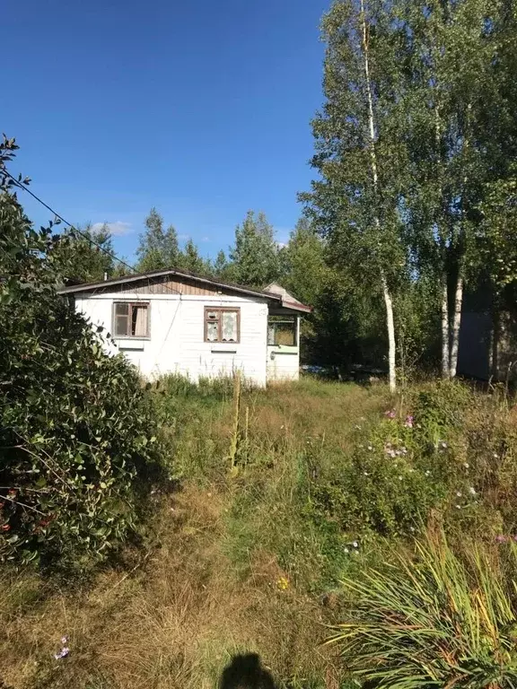 Участок в Ленинградская область, Всеволожский район, Рахьинское ... - Фото 0