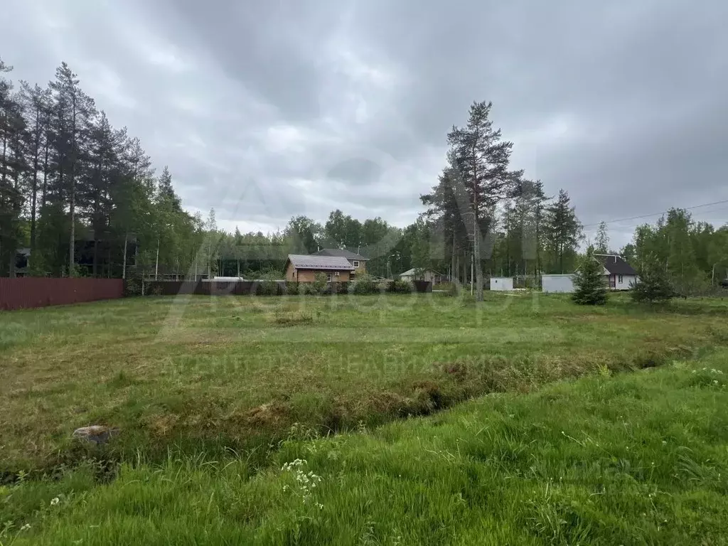 Участок в Ленинградская область, Приозерский район, Ларионовское ... - Фото 1