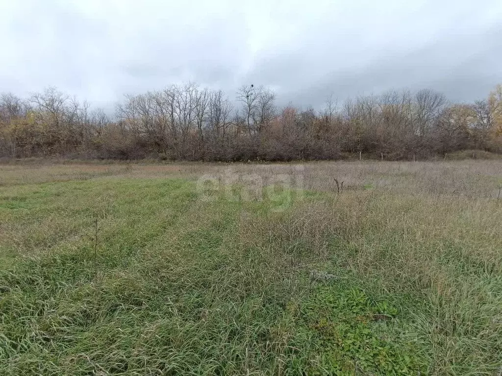 Участок в Крым, Симферопольский район, Добровское с/пос, с. ... - Фото 2