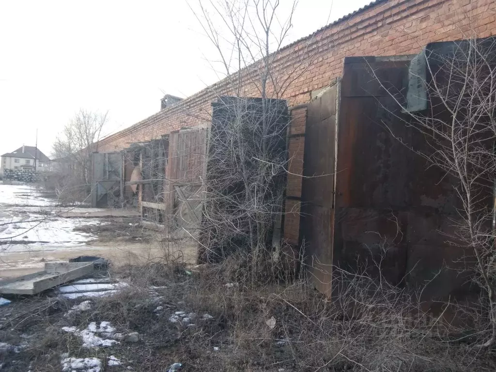Участок в Астраханская область, Ахтубинск пер. П. Гужвина (8.43 сот.) - Фото 1