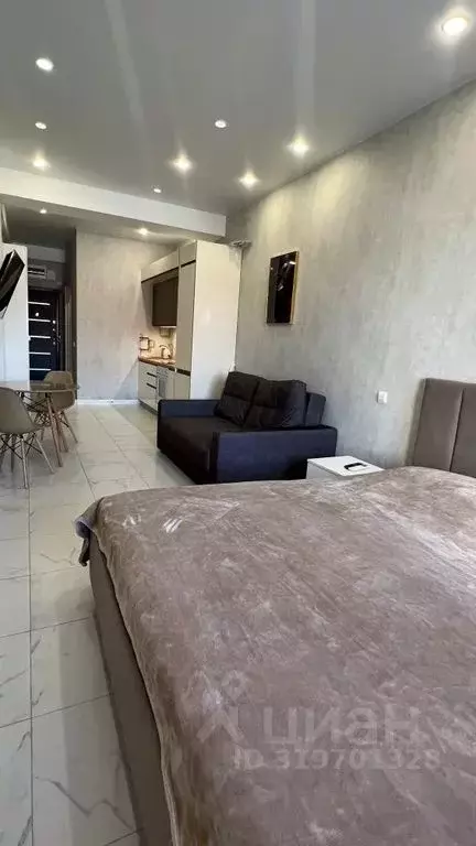 Студия Краснодарский край, Сочи ул. Ленина, 288 (30.0 м) - Фото 1