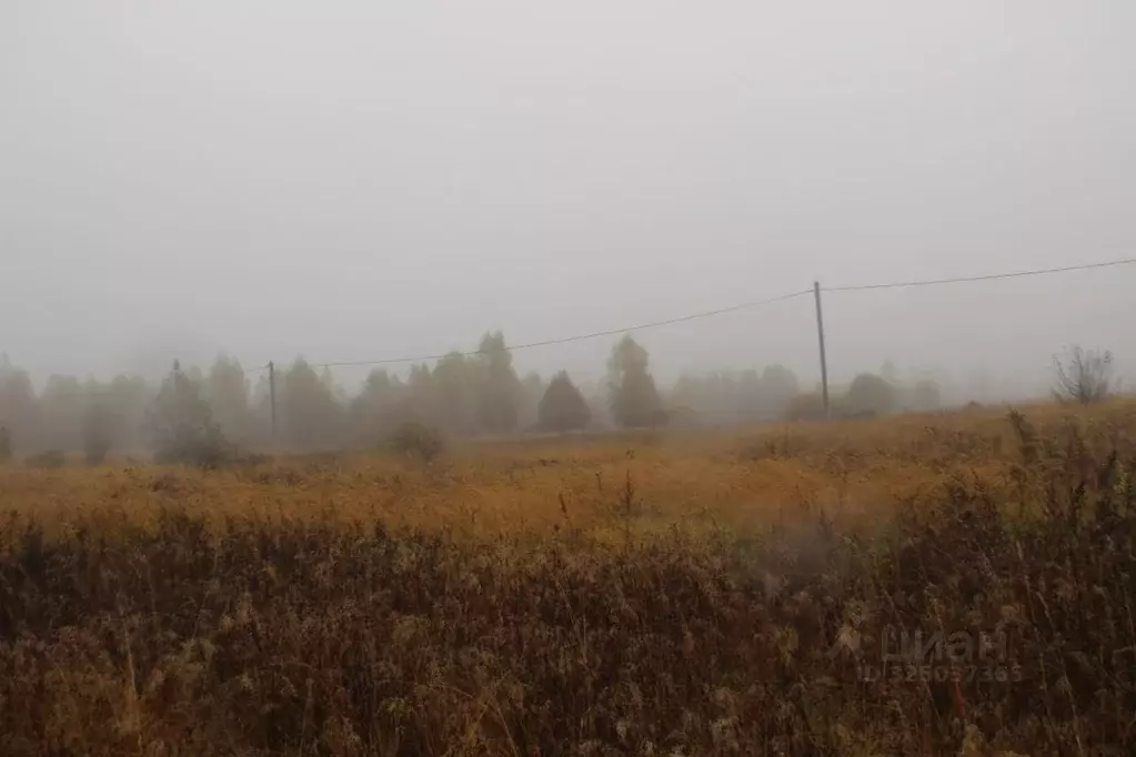 Участок в Московская область, Шаховская муниципальный округ, д. ... - Фото 1