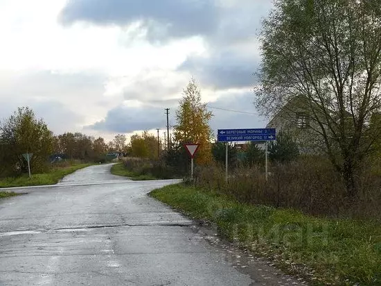 Участок в Новгородская область, Новгородский район, Ракомское с/пос, ... - Фото 1