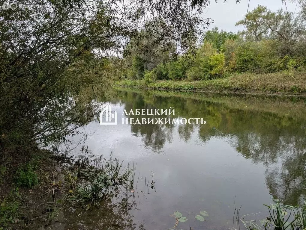 Участок в село Нижняя Солонцовка, Береговая улица, 22 (18.6 м) - Фото 2