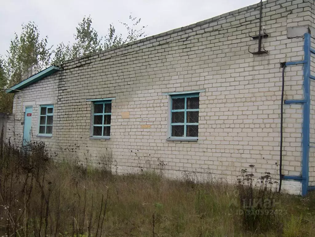 Помещение свободного назначения в Брянская область, Клетня рп ул. ... - Фото 2