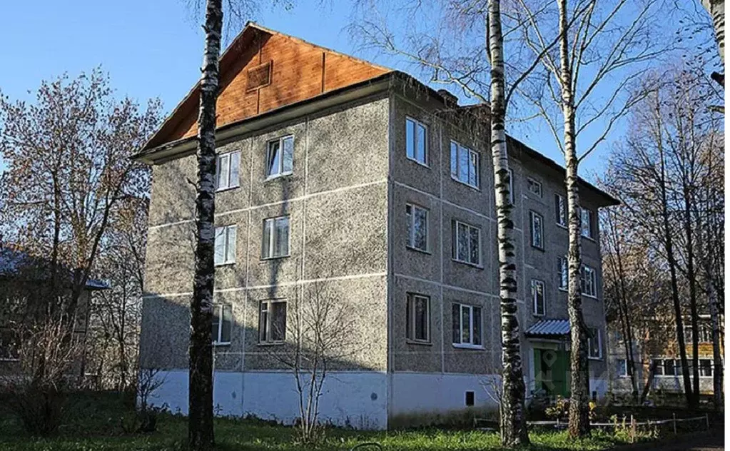 1-к кв. Владимирская область, Суздаль Советская ул., 45 (30.2 м) - Фото 0