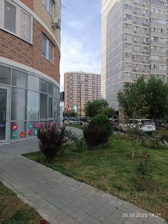 1-к кв. Краснодарский край, Краснодар ул. Евгении Жигуленко, 11/2 ... - Фото 2