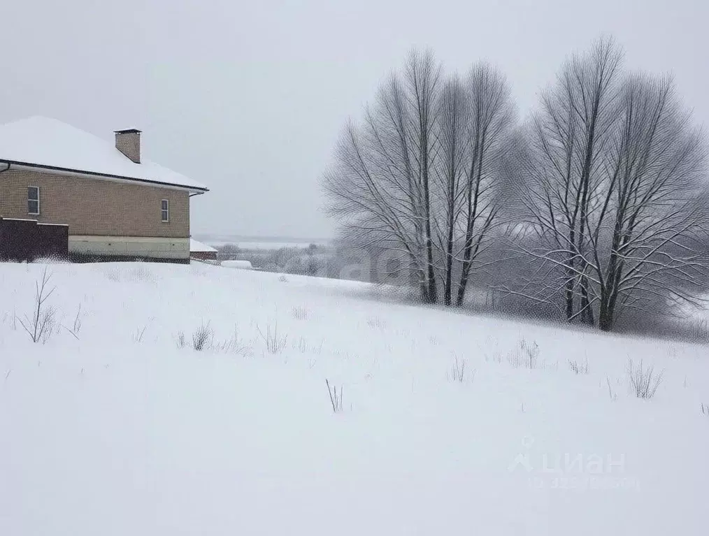 Участок в Тульская область, Тула городской округ, д. Барсуки ул. ... - Фото 1