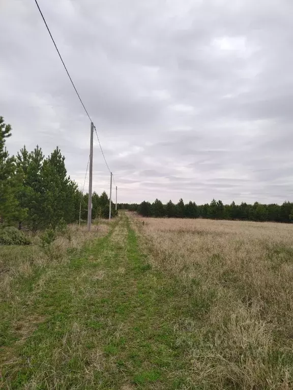 Участок в Свердловская область, Слободо-Туринский район, ... - Фото 1