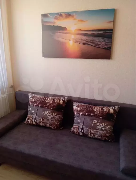 Квартира-студия, 23,5 м, 10/10 эт. - Фото 1