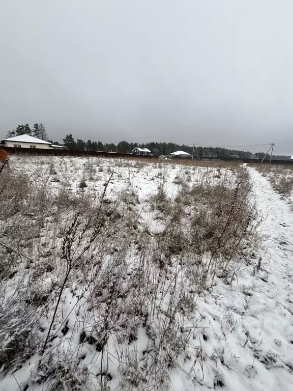 Участок в Ленинградская область, Лужский район, Скребловское с/пос, д. ... - Фото 2