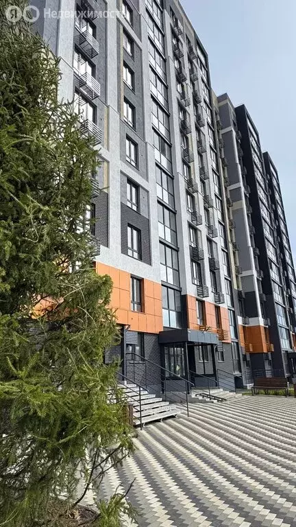 2-комнатная квартира: Кемерово, Ленинградский проспект, 55 (51.5 м) - Фото 2