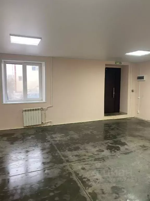 Помещение свободного назначения в Чувашия, Чебоксары Базовый проезд, ... - Фото 1