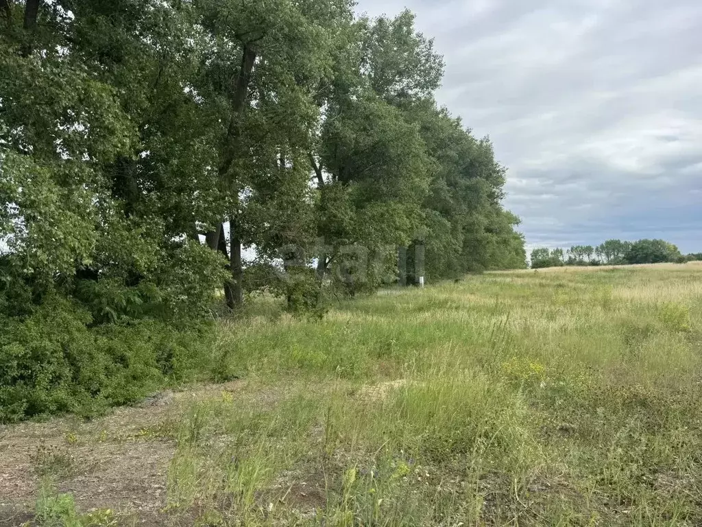 Участок в Белгородская область, Белгородский муниципальный округ, с. ... - Фото 2