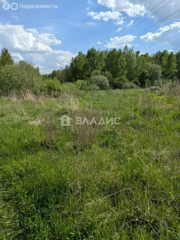 Участок в Владимирская область, Судогодский муниципальный округ, ... - Фото 1