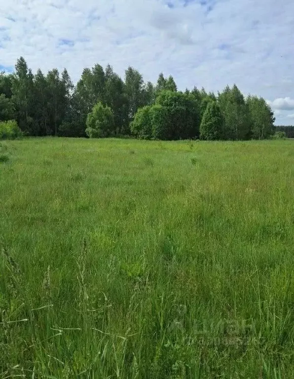 Участок в Московская область, Орехово-Зуевский городской округ, д. ... - Фото 1