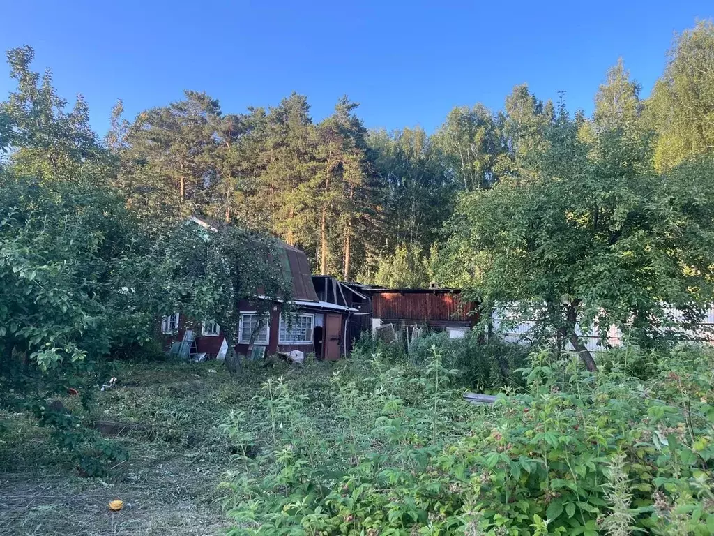 Участок в Свердловская область, Екатеринбург Рябинушка СТ, 11 (4.7 ... - Фото 0