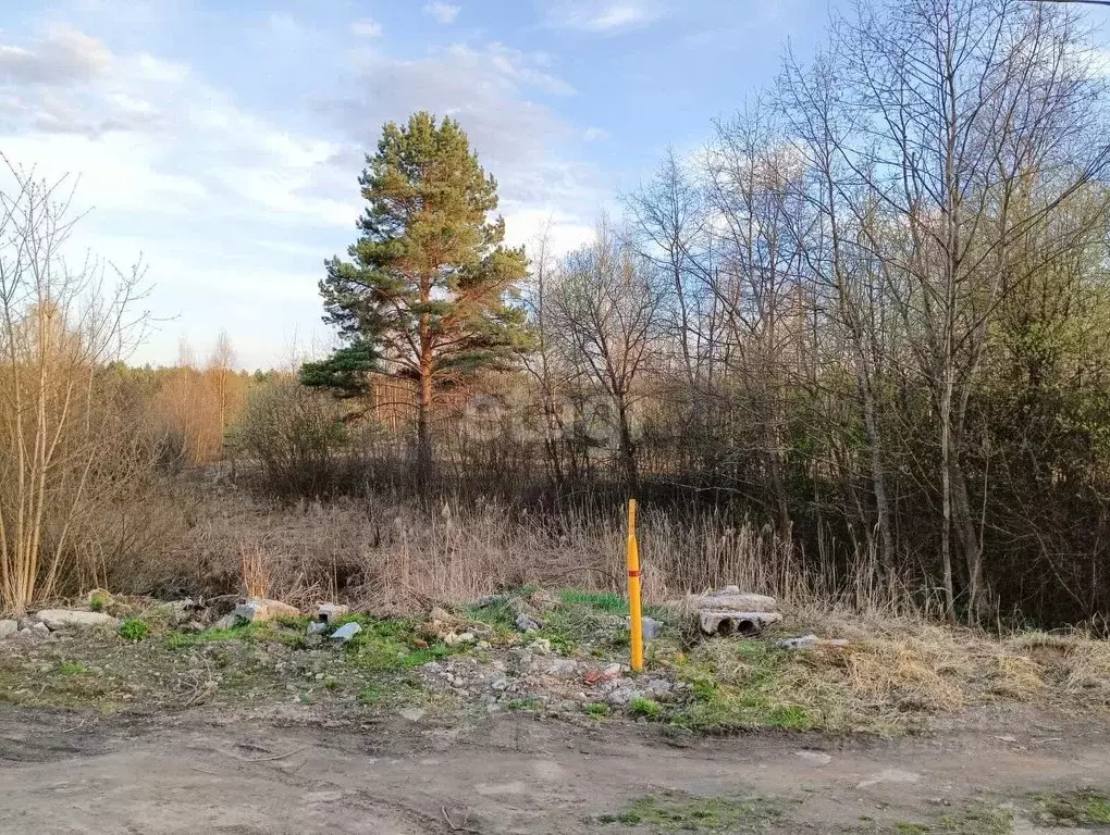 Участок в Ярославская область, Некрасовский муниципальный округ, ... - Фото 0