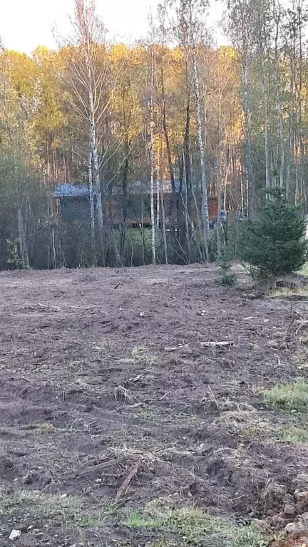 Участок в Ленинградская область, Всеволожский район, Колтушское ... - Фото 2