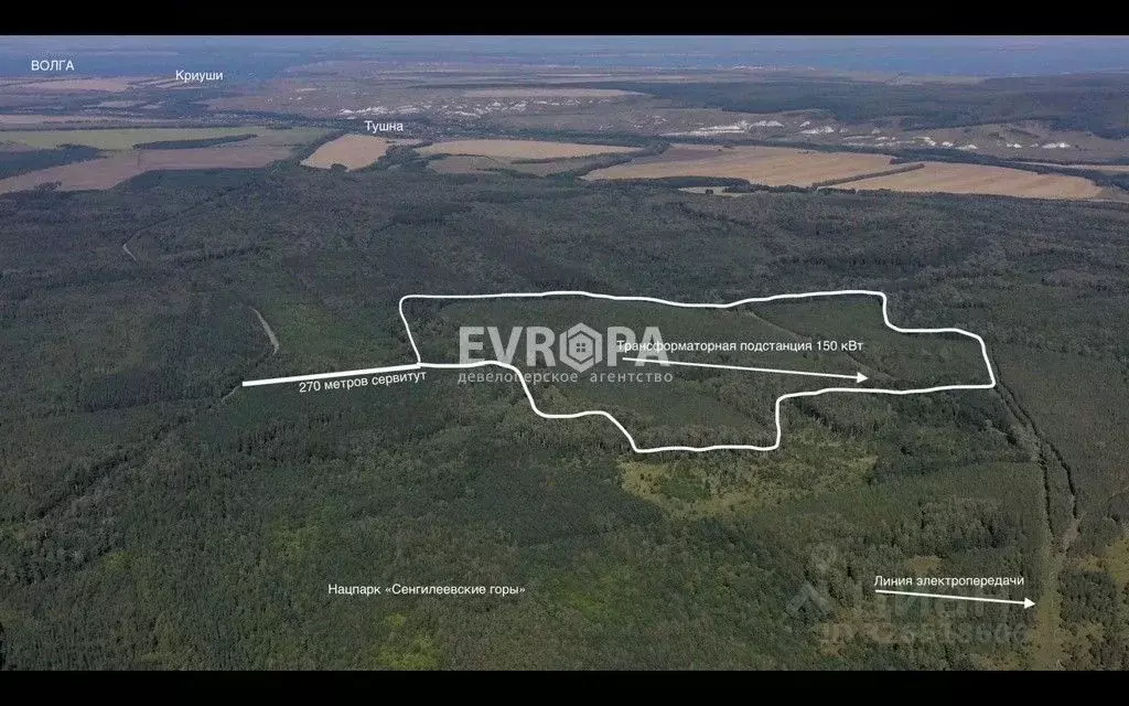 Участок в Ульяновская область, Сенгилеевский район, с. Тушна  (50.0 ... - Фото 2