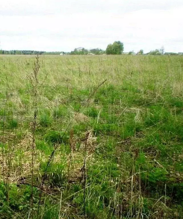 Участок в Каменск-Шахтинский, улица Семашко (3 м) - Фото 1