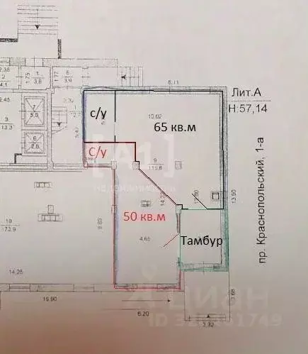 Торговая площадь в Челябинская область, Челябинск просп. ... - Фото 2