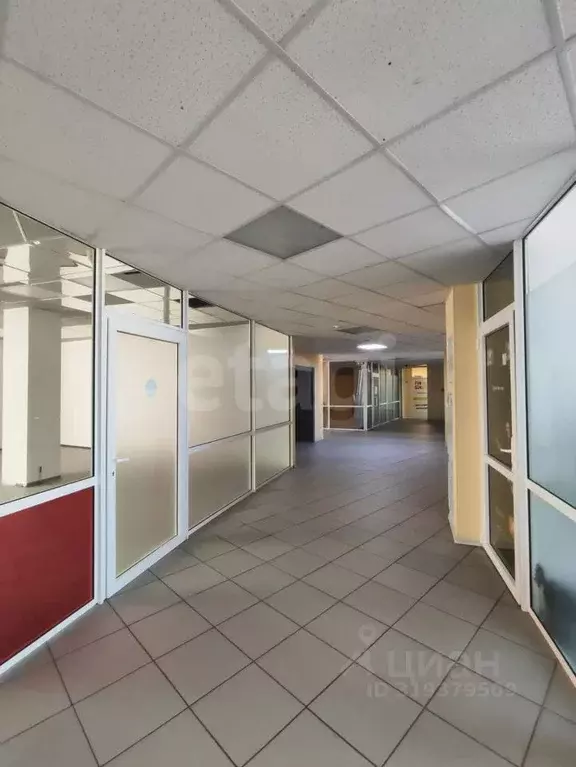 Помещение свободного назначения в Коми, Сыктывкар Первомайская ул., 62 ... - Фото 2