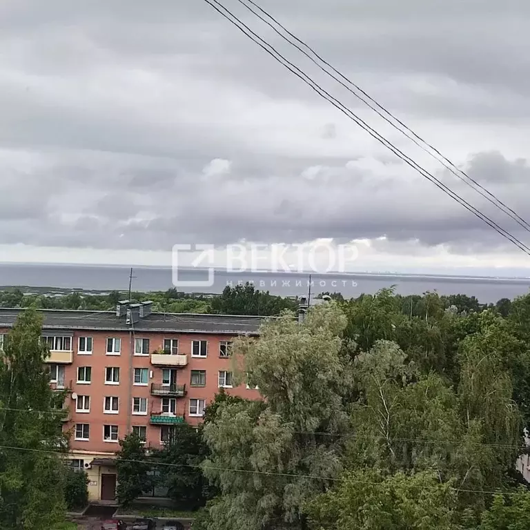 Комната Санкт-Петербург пос. Стрельна, Санкт-Петербургское ш., 94к1 ... - Фото 2