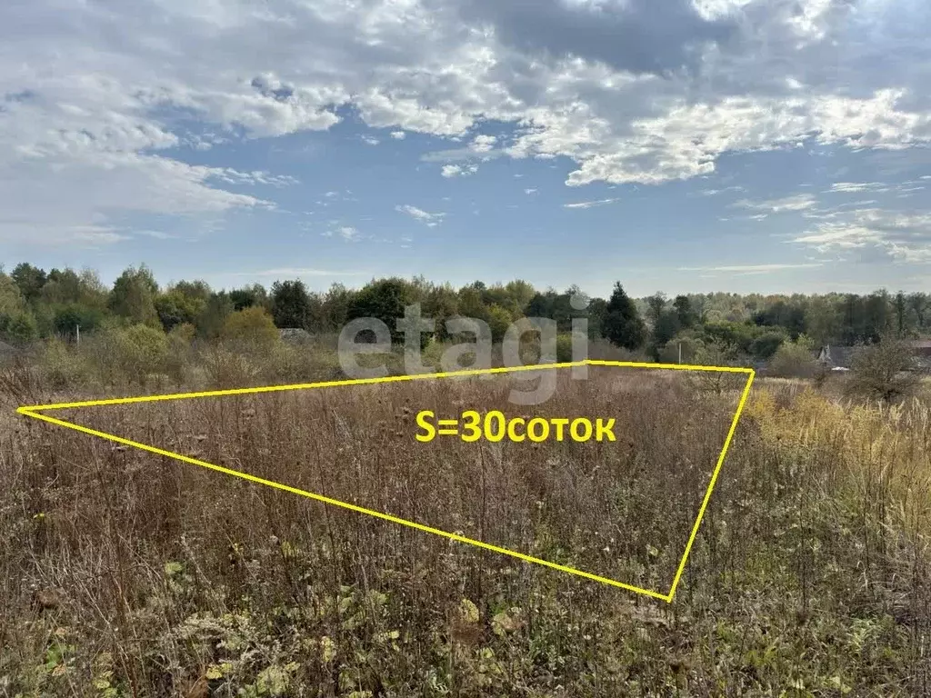 Участок в Брянская область, Дятьковский район, д. Березино Октябрьская ... - Фото 1