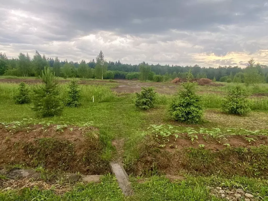 Участок в Московская область, Наро-Фоминский городской округ, д. ... - Фото 1
