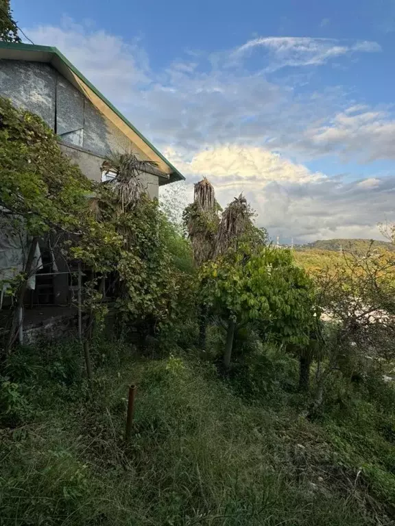 Участок в Краснодарский край, Сочи Пятигорская ул., 29 (8.0 сот.) - Фото 2