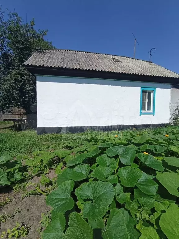 Дом 57 м на участке 5 сот. - Фото 0
