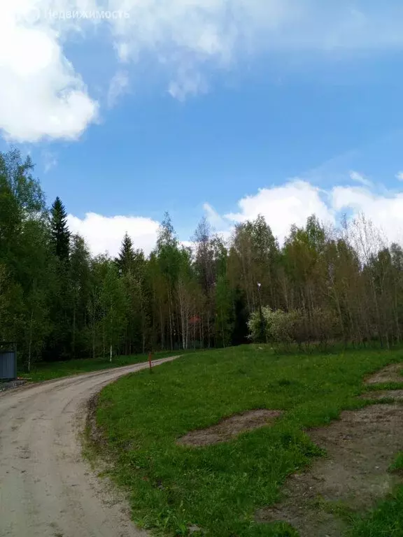 Дом в Нижнетавдинский район, поселок Лесозаводский (40 м) - Фото 0