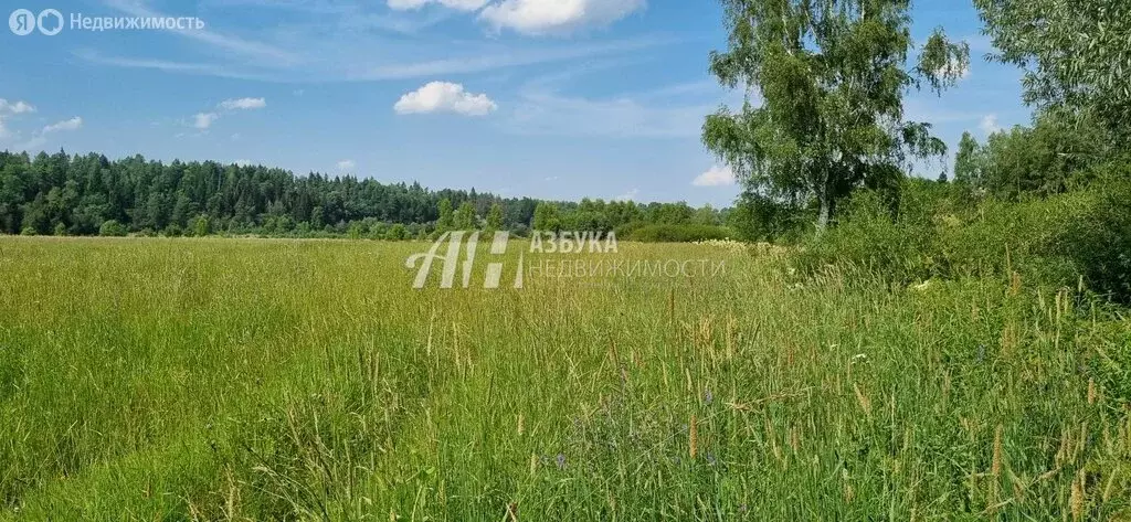 Участок в Одинцовский городской округ, деревня Рязань (8 м) - Фото 1