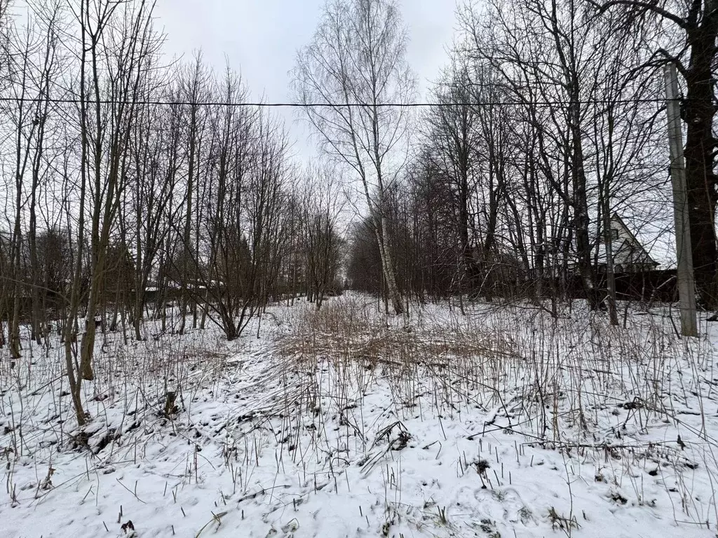 Участок в Московская область, Волоколамский муниципальный округ, д. ... - Фото 2