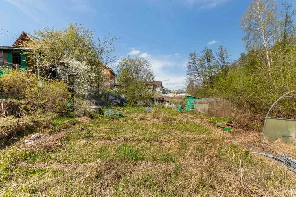 Участок в Тюменская область, Тюмень СОСН Мичуринец тер., 160 (4.0 ... - Фото 0