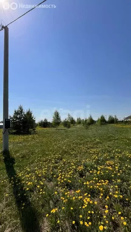 Участок в муниципальное образование Киров, деревня Чарушины, ... - Фото 1