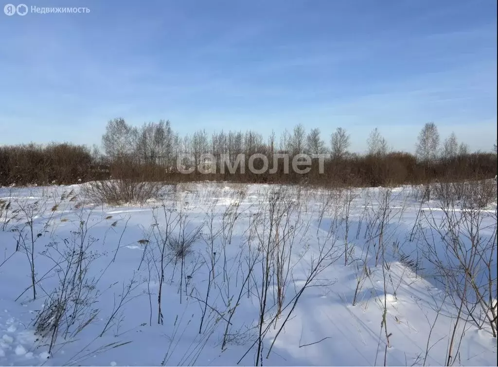 Участок в Тюмень, садовое товарищество Царево, 476А (22.63 м) - Фото 1