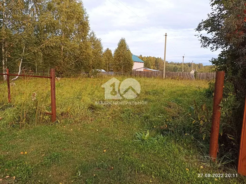 Участок в Новосибирская область, Мошковский район, Восток СНТ 237 (6.0 ... - Фото 0