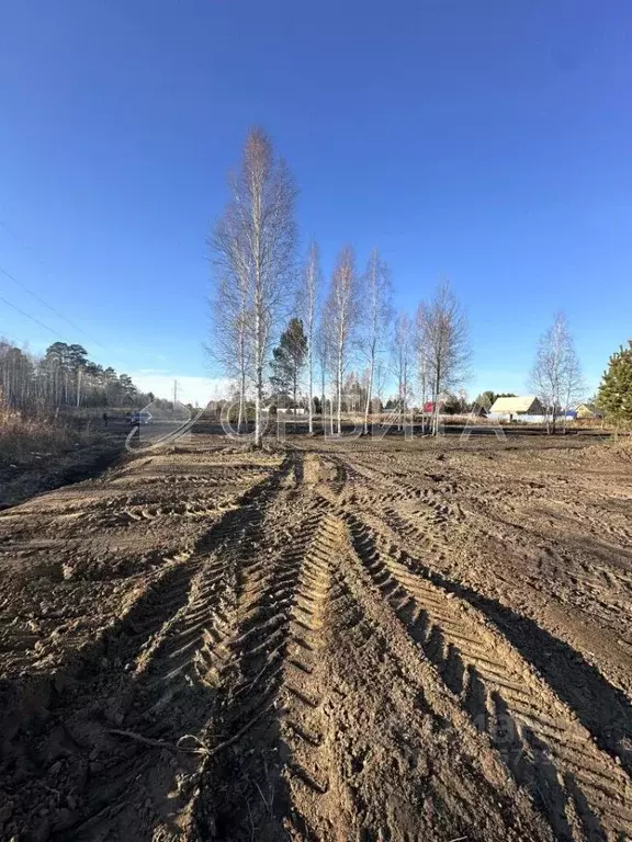 Участок в Тюменская область, Тюменский район, д. Головина ул. Ермака ... - Фото 1